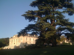 IMG_0208 IMG_0208