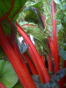 IMG_0211 IMG_0211